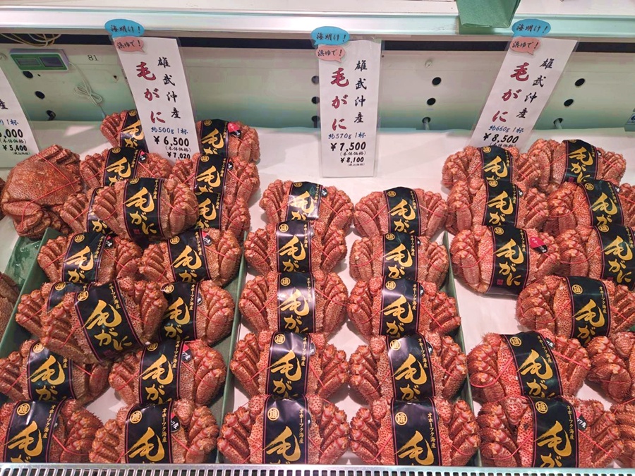 2026年オホーツク海明け毛ガニ